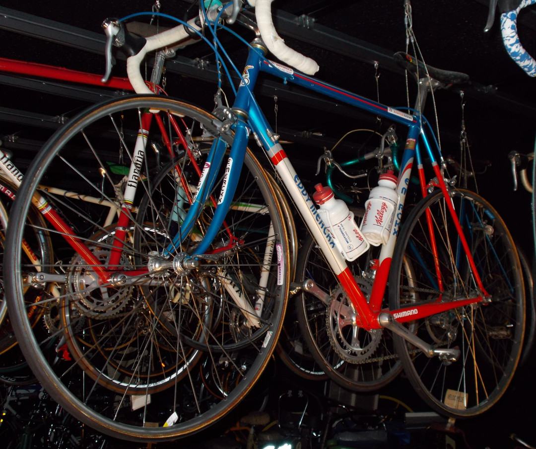 bike_display_1993_champion_bicycle_sm.jpg