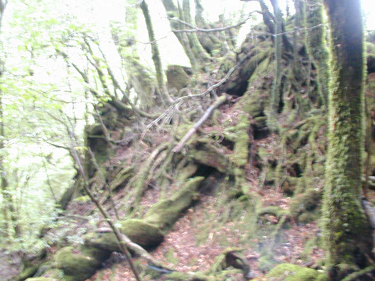mound (a blur)